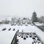 Zwei Loewen Winterberg