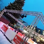 Zwei Loewen Winterberg
