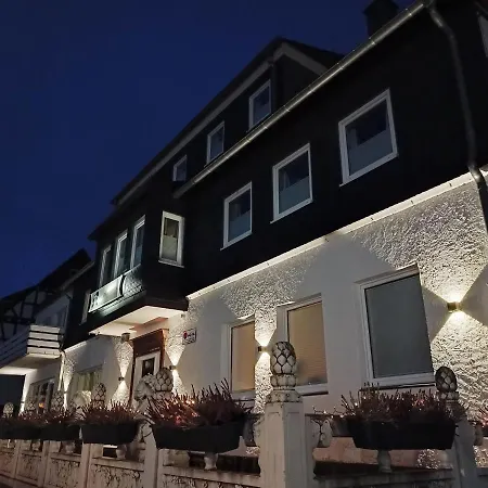 Zwei Löwen Apartment Winterberg
