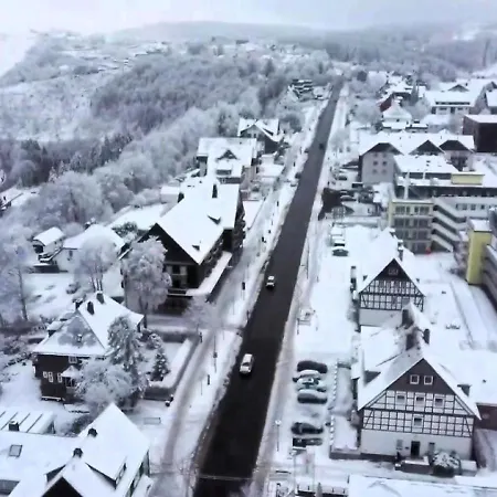 Zwei Löwen *