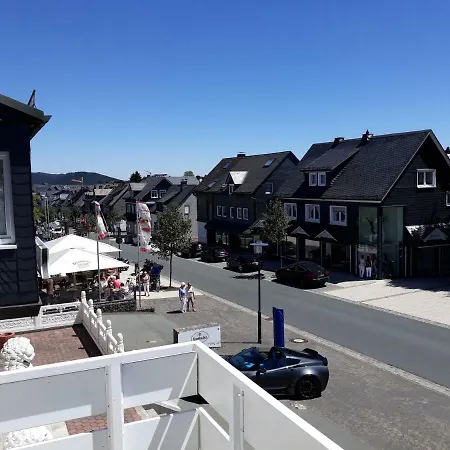 Zwei Löwen