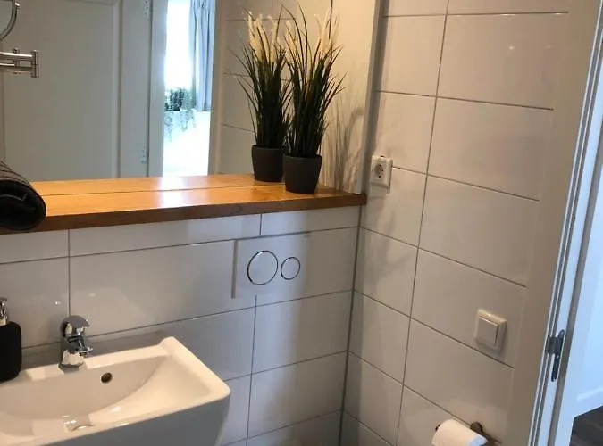 Zwei Loewen * Winterberg