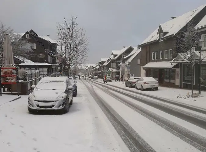 Zwei Loewen Appartement *